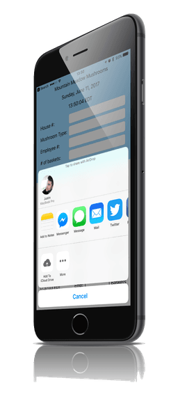 Preview of share sheet
